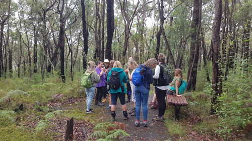 Forest Therapy Training NSW March 2020
