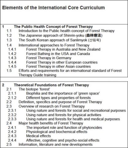 ICCFT part 1