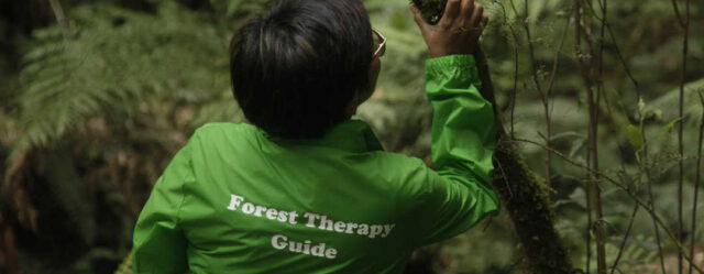 INFTA_Certified Forest Therapy Guide