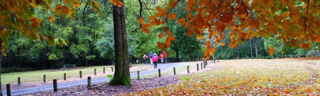 Mount Macedon in autumn
