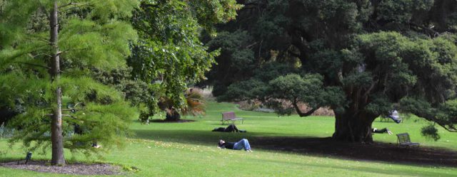 Royal Botanic Garden Melbourne sit spot exercise