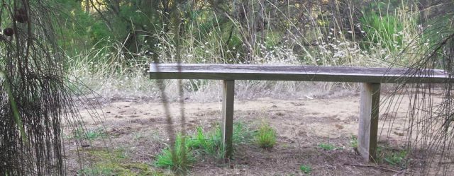 empty bench at Coolert NP