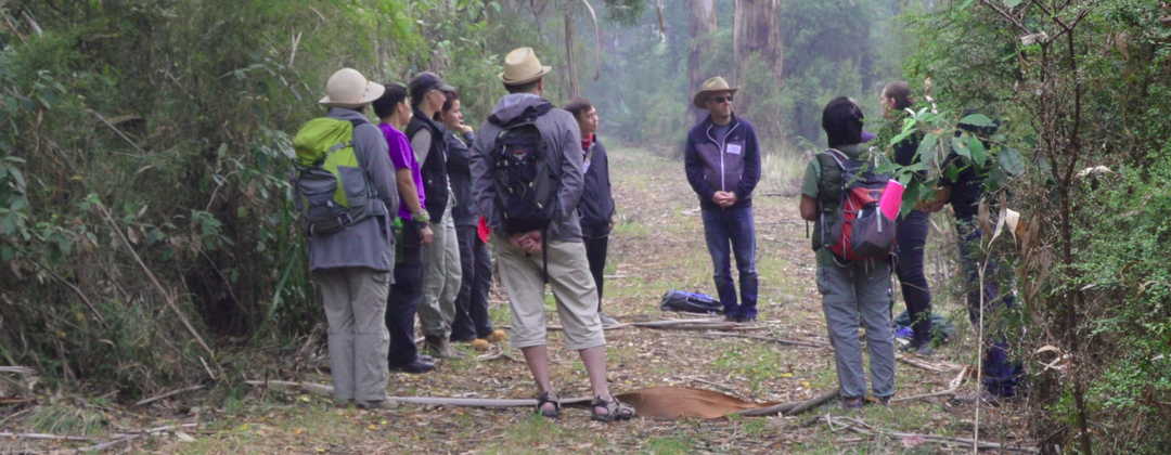 INFTA Forest Therapy Guides in training