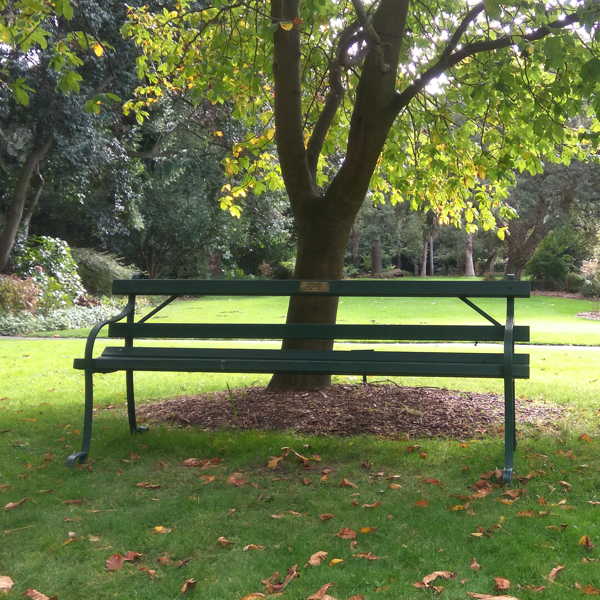 bench under tree