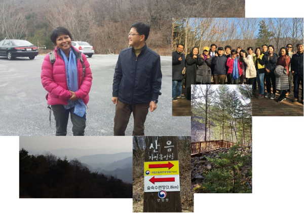 South Korea National Center for Forest Therapy